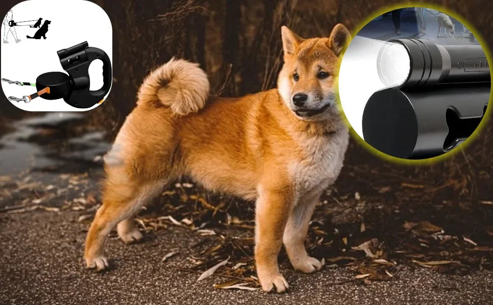 Double Dog Leash for Two Dogs with Tangle-Free Swivel